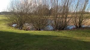 Image result for South Kyme Golf Club