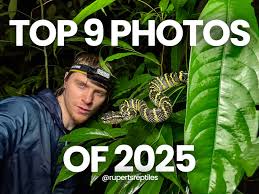 Attēlu rezultāti vaicājumam “Stemonitopsis hyperopta var. landewaldii macro”