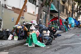 Image result for 精神疾患HOMELESS