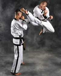 Image result for Ndm Martial Arts