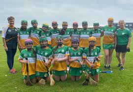 Image result for An Riocht Gaa Club