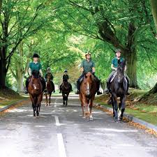 Image result for Shrivenham Netball Club