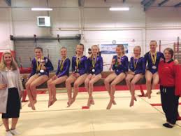 Image result for Swallows Of Helston Gym Club