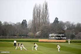 Image result for Taunton Vale Sports Club