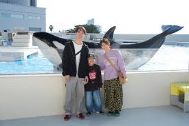 「海神往紗馳」の画像検索結果