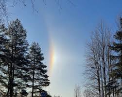 Kuvahaun tulos haulle haloilmi