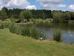 Image result for Wheatley Hill Angling Club