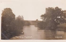 Image result for Byfleet Angling Club