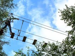 Image result for Go Ape! Alice Holt