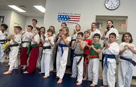 Image result for Vision Martial Arts