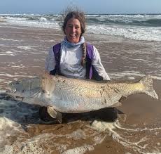 Image result for Petrus rupestris