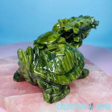 Αποτέλεσμα εικόνας για jade dragon turtle