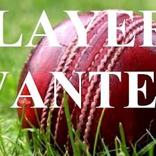 Image result for Apperley Cricket Club