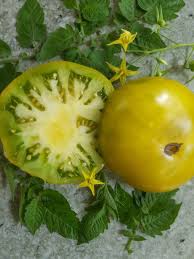 Afbeeldingsresultaat voor grubbs mystery green tomato
