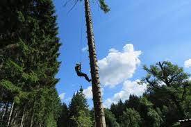 Image result for A J Activities, Herefordshire