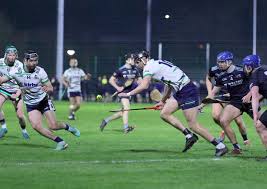 Image result for University Of Limerick Gaa Hurling Club