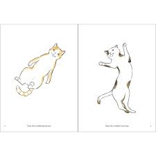 Image result for invisible cat