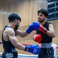 Image result for York University Boxing Club