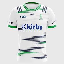 Image result for University Of Limerick Gaa Hurling Club