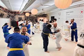 Image result for York University Karate Club