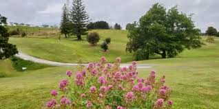 Image result for Warkworth Golf Club