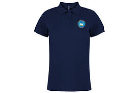 Image result for Chiddingly Cricket Club