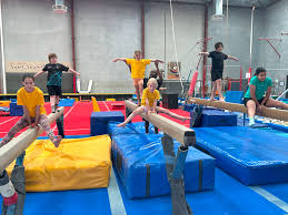 Image result for Hull High Flyers Gymnastics Club