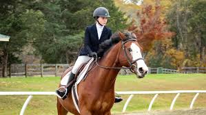 Image result for Weybridge Equestrian Centre