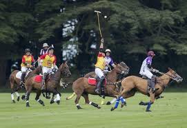 Image result for Cirencester Park Polo Club
