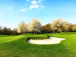 Image result for Reading Golf Club