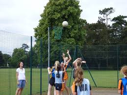 Image result for Hertford Hornets Netball Club