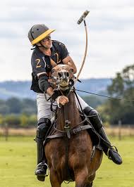 Image result for Kirtlington Park Polo Club