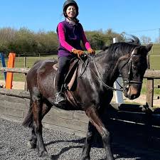 Image result for Shey Copse Riding Centre