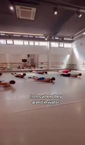 Image result for Fish trampoline and gymnastics club