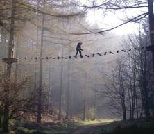 Image result for Go Ape! Dalby