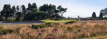 Image result for Teignmouth Golf Club Limited