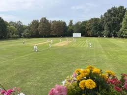 Image result for Wraysbury Cricket Club