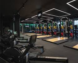 Image result for Cannons Health & Fitness Clubs