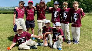 Image result for Bearsted Cricket Club
