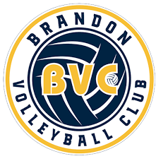 Image result for Bournside Volleyball Club