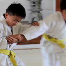 Image result for Sho Shin Kan Aikido Club