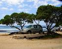 http://www.destination360.com/north-america/us/hawaii/images/s/cheap-rental-car.jpg