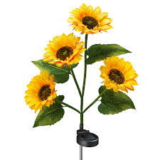 Image result for Sonnenblume