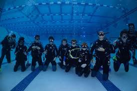 Image result for 3D Diving Club