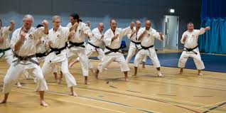 Image result for Oxford University Shorinji Kempo Club