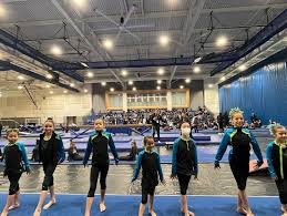 Image result for Vernon Park Gymnastics