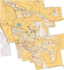 Image result for Harlequins Orienteering Club