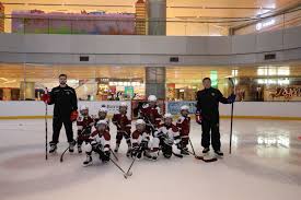 Image result for Bromsgrove Badminton Club