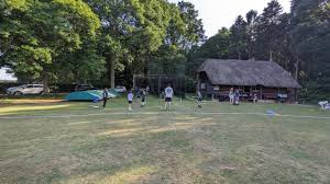 Image result for Buscot Park Cricket Club