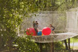 Image result for Go Ape! Alice Holt